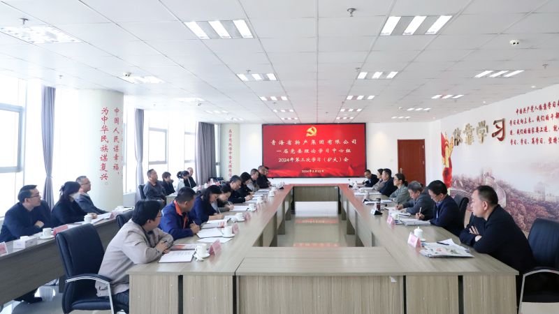 省物產(chǎn)集團(tuán)黨委召開2024年度理論學(xué)習(xí)中心組第三次學(xué)習(xí)（擴大）會